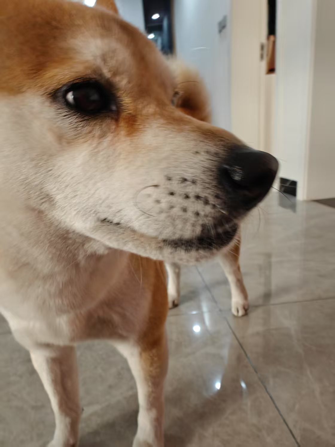 我爱说石话